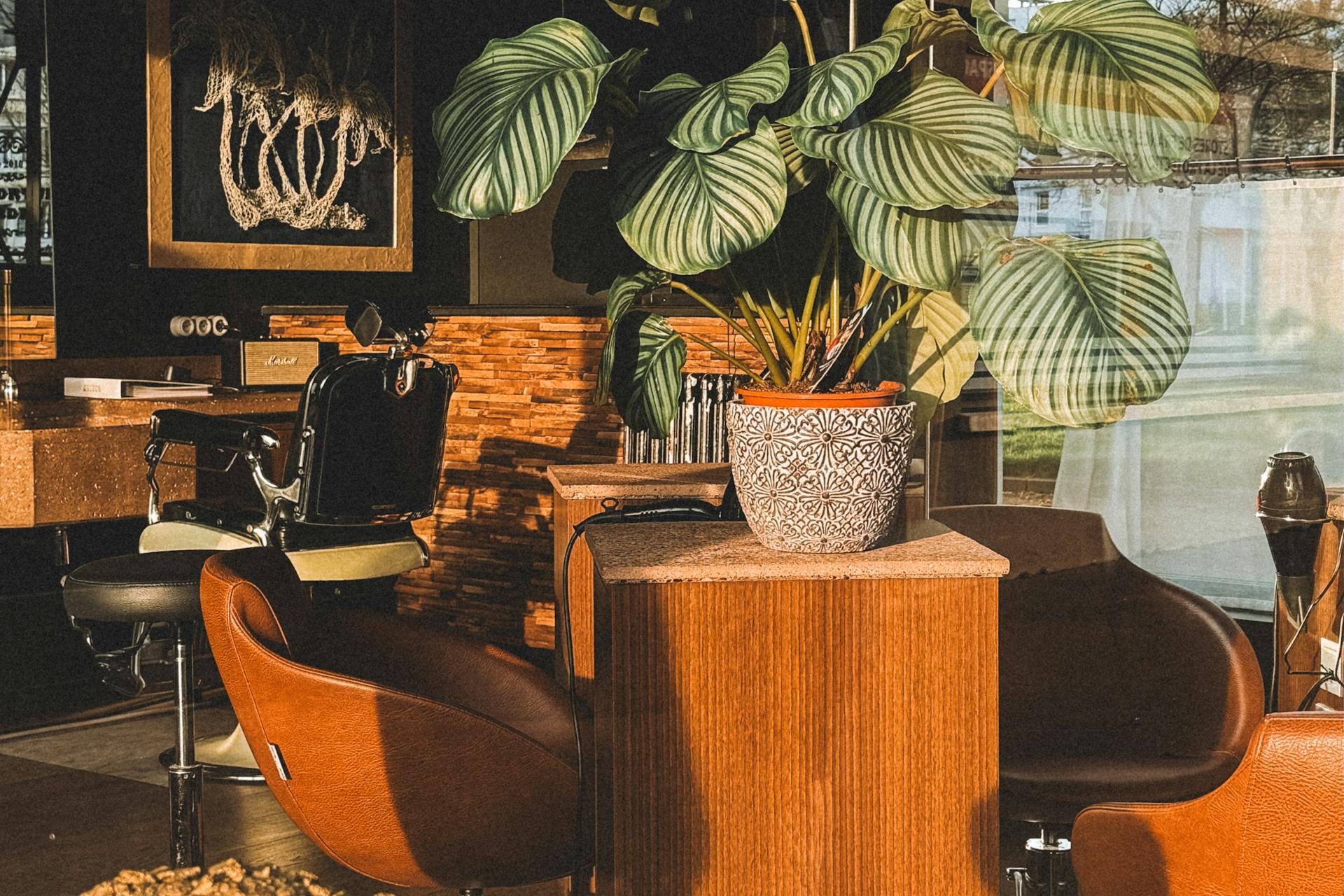 pexels-photo-30263092